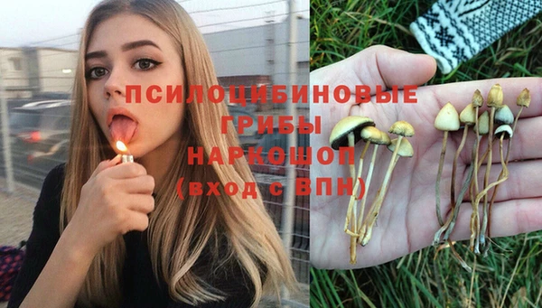 МДПВ Абинск