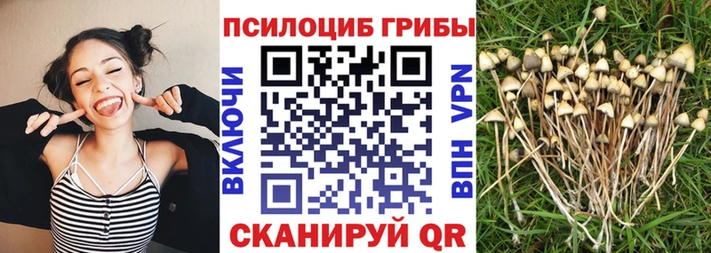 МЕГА рабочий сайт Новотитаровская Псилоцибиновые грибы Psilocybe
